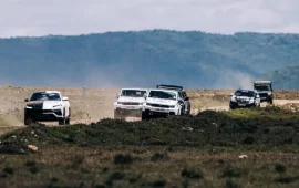 Hungry Lion Sends Tourists Running for Cover In Wild Safari Incident