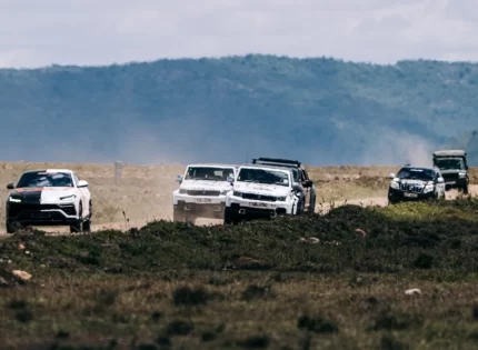 Hungry Lion Sends Tourists Running for Cover In Wild Safari Incident