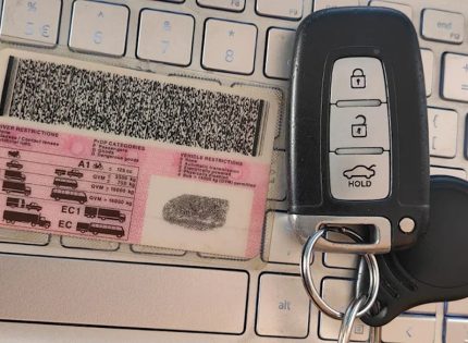 Online car licence renewals breach 2.5m mark