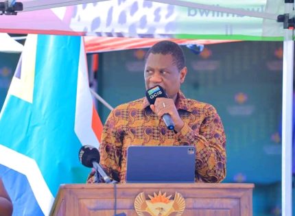 South Africa’s Deputy President Paul Mashatile Collapses at N’wamitwa Day Celebrations