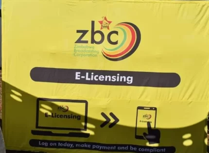 Government To Ban ZINARA And Vehicle Insurance Companies From Selling Licences And Policies To Motorists Without ZBC Radio Licenses