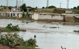 Harare City Council Condemns Budiriro 5 Extension Due to Flood Risks