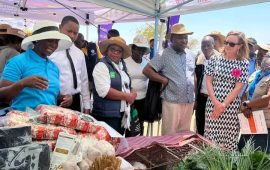 USAID Zimbabwe Boosts Food Security with Solar-Powered Boreholes