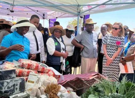 USAID Zimbabwe Boosts Food Security with Solar-Powered Boreholes