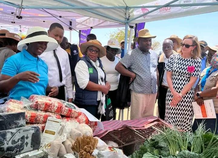 USAID Zimbabwe Boosts Food Security with Solar-Powered Boreholes