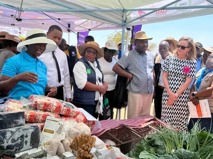 USAID Zimbabwe Boosts Food Security with Solar-Powered Boreholes