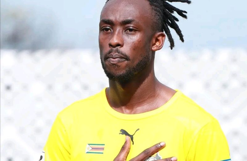 Tino Kadewere Ruled Out of AFCON Qualifiers