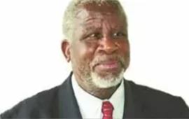 Renowned Zimbabwean Historian Pathisa Nyathi Dies At 73