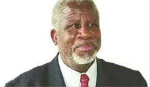 Renowned Zimbabwean Historian Pathisa Nyathi Dies At 73