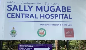 Sally Mugabe Central Hospital Midwife At The Centre Of A Human Trafficking and Forgery Court Case