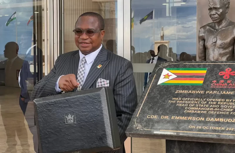 Mthuli Ncube Introduces Fast Food Tax, Says Zimbabweans Need To Eat Healthier