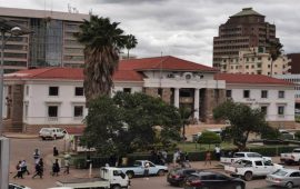 Harare City Council Officials Accused of Looting 100 Cattle Every Month