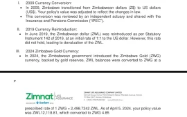 Zimbabwe Is a Crime Scene! Fury as Man Receives Less Than US$1 for 15-Year Insurance Policy