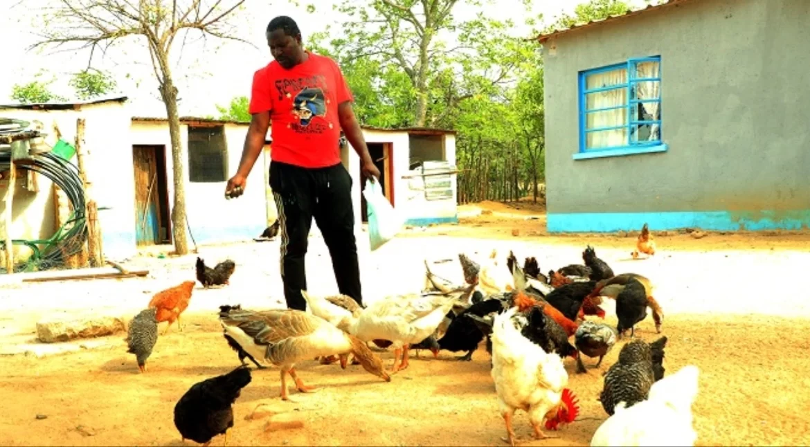 ZANU-PF Musician Chief Hwenje Battles Cancer, Retreats to Rural Home for Healing  