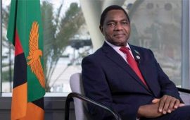 Police Arrest Two Men With Live Chameleon and Charms Plotting to Bewitch Zambian President Hakainde Hichilema