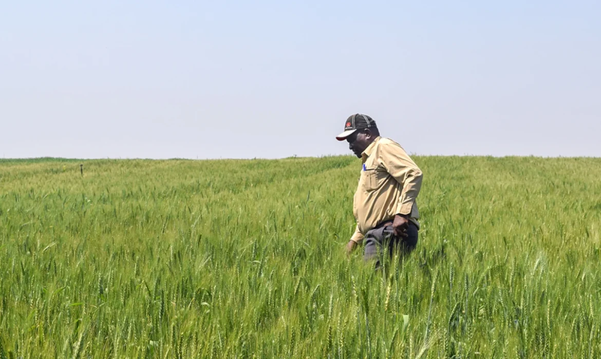 Zimbabwe Returns Seized Farms To Black Farmers Who Lost Land Under Mugabe