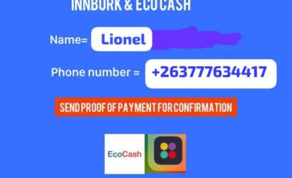 Send US$100, Get US$1500: How Fake Wicknell Chivayo Accounts Are Scamming Zimbabweans – Full Details