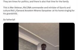 His other side: Rtd General Sanyatwe sings for his grandchild (video)