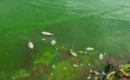 Expert Reveals That Lake Chivero Poses As A Cancer Threat