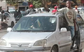 Zimbabwean Government Urged To Stop Mushika-Shika Operations