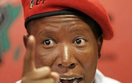 ‘Go to hell’: Gayton McKenzie slams Julius Malema