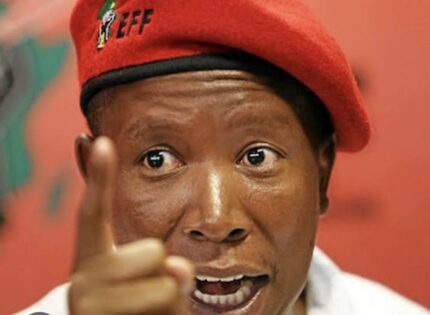 ‘Go to hell’: Gayton McKenzie slams Julius Malema