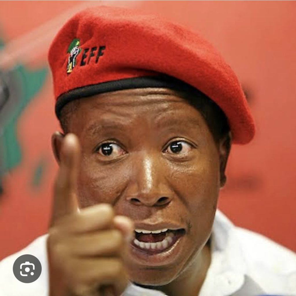 Gayton McKenzie Julius Malema hell