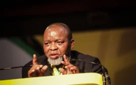 President Cyril Ramaphosa Appoints Acting Police Minister