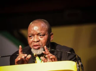 President Cyril Ramaphosa Appoints Acting Police Minister