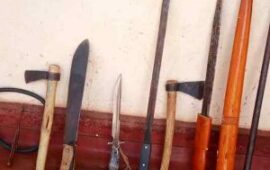 Victoria Falls Bans Knives, Knobkerries and Machetes As Violence Rises In The Resort Town