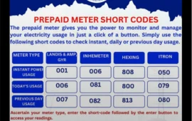 How to Check Your Electricity Usage with ZETDC’s Prepaid Meter Short Codes