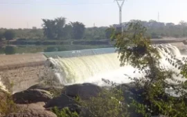 Zimbabwean Authorities Launches Investigation After Limpopo River Turns Green After Contamination