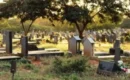 Harare Man Charged With Grave Vandalism and Violent Attack on Security Guards