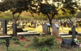 Harare Man Charged With Grave Vandalism and Violent Attack on Security Guards