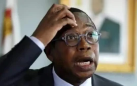 “$3,000 Income Per Person?” Former Finance Minister Tendai Biti Scoffs At Claims That Zimbabwe Is Now The 5th Largest Economy