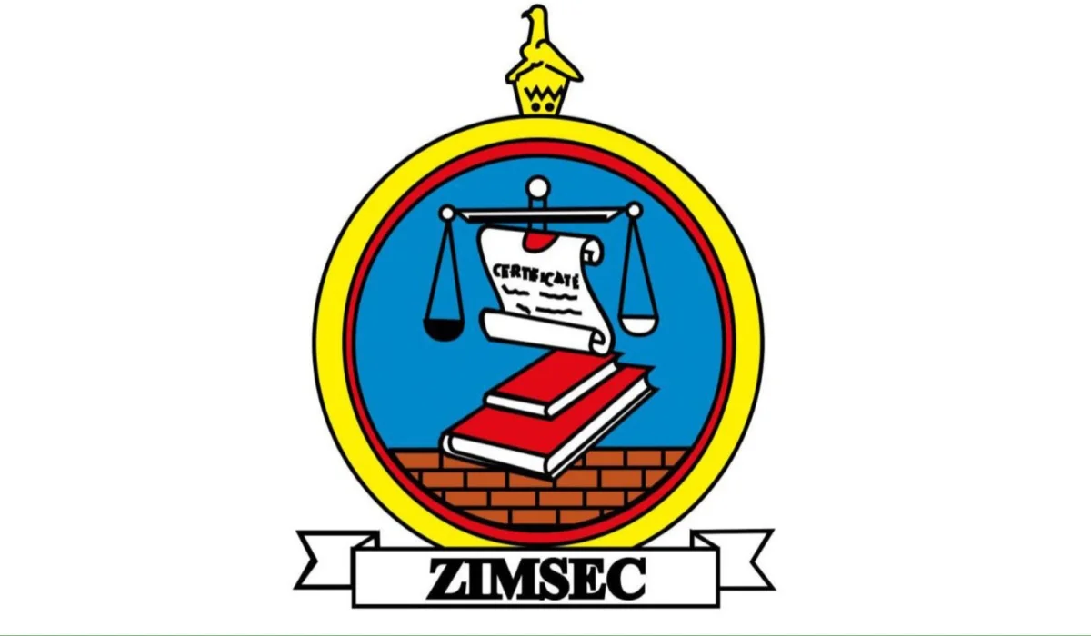 How To Access & View The 2023 Zimsec Ordinary O Level Results Online | Detailed Guide