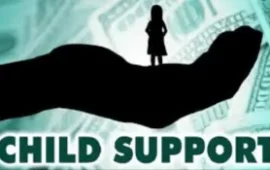 Man Makes ‘Sperm Donor’ Defense In Court To Avoid Paying Maintenance For His Twins