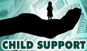 Sperm donor pay maintenance for twins