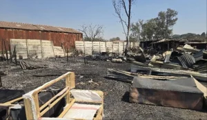 Traders Left Counting Losses After Over 50 Stalls Gutted By Fire At Gweru DST Market