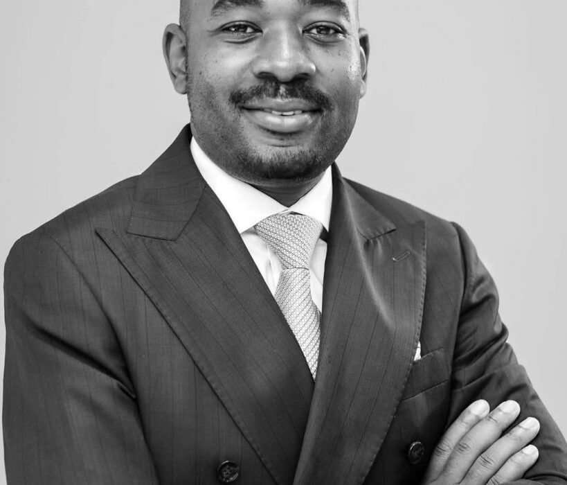 Nelson Chamisa speaks about ZanuPF expenditure on him