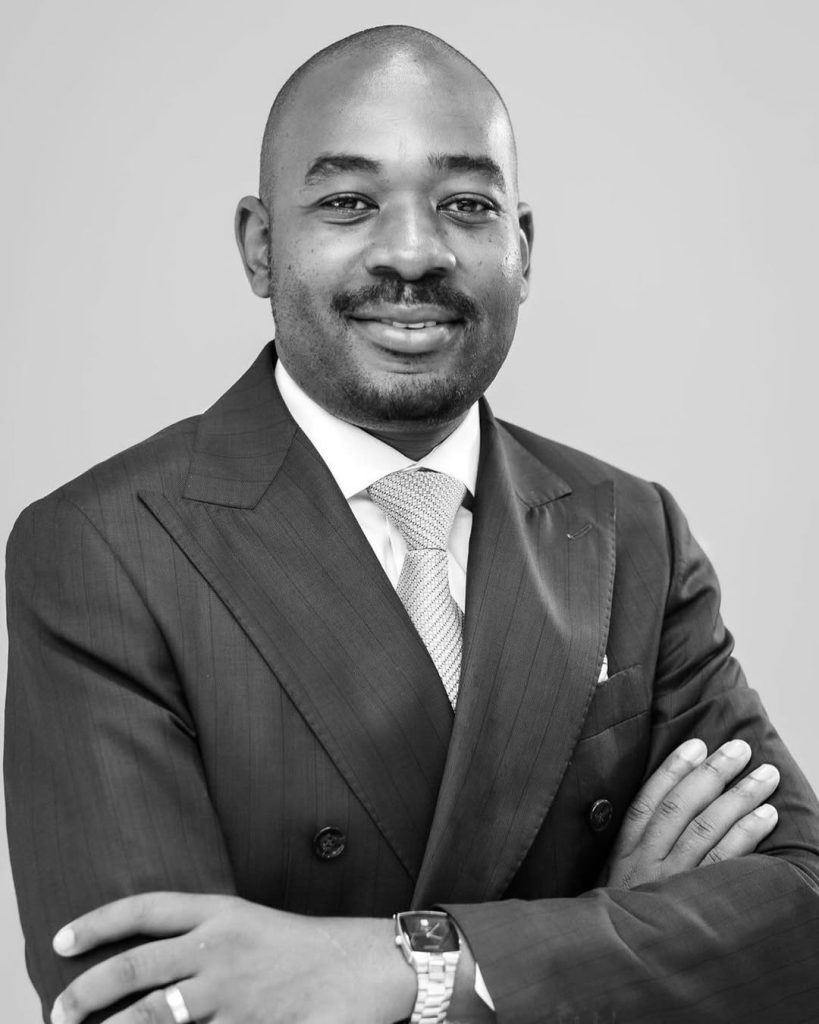 Nelson Chamisa ZanuPF expenditure