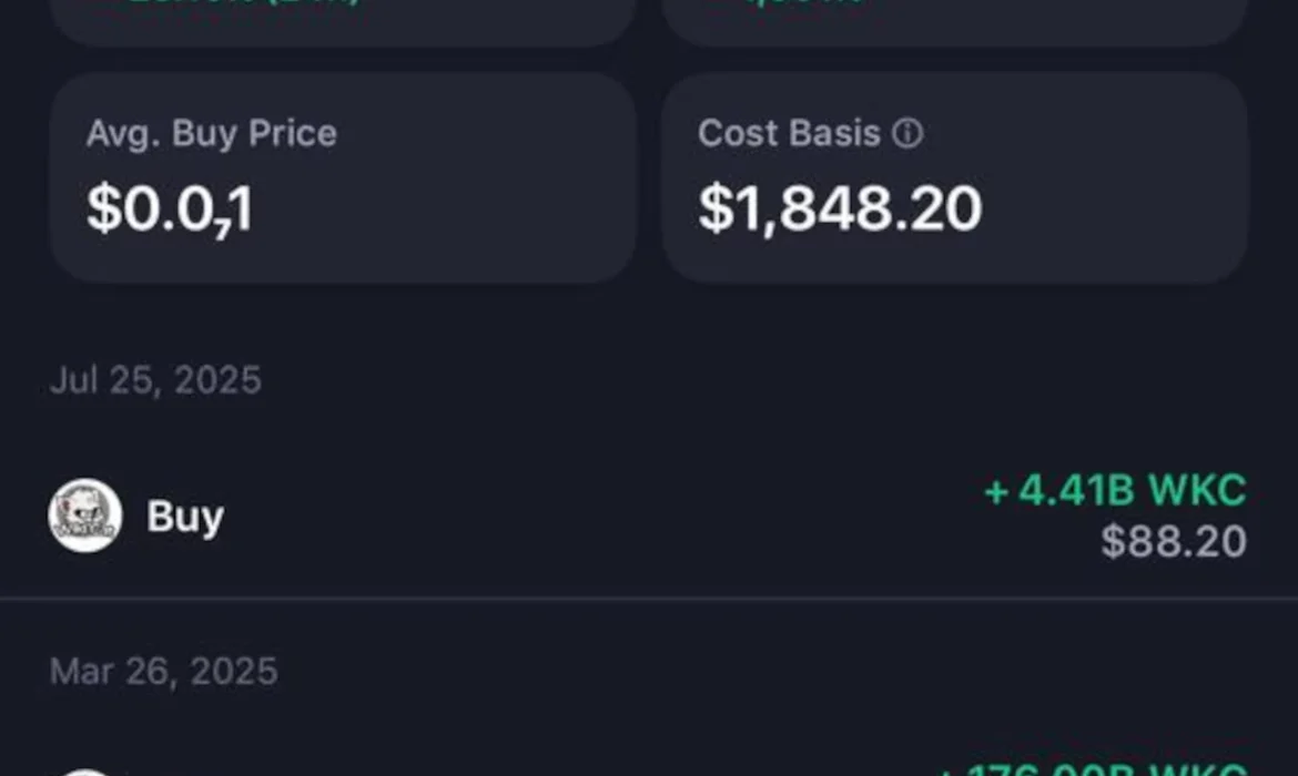 How A Zimbabwean Crypto Investor Turned US$2K Into US$90K With Meme-Coin Wikicat