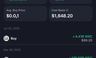 How A Zimbabwean Crypto Investor Turned US$2K Into US$90K With Meme-Coin Wikicat