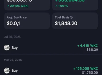 How A Zimbabwean Crypto Investor Turned US$2K Into US$90K With Meme-Coin Wikicat