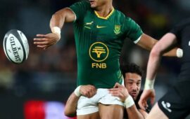 From Springboks to Proteas: Sacha’s cricket skills go viral