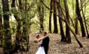 In pictures: Springboks legend Bryan Habana celebrates wedding anniversary