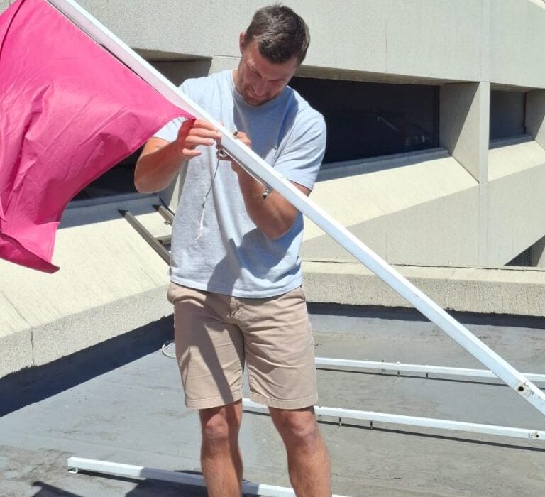 Baby Pollard is here: Springboks star Handre raises a pink flag (pictures)