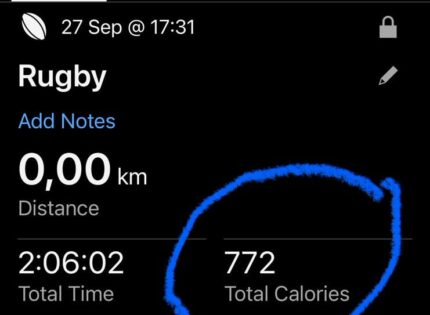 It’s not easy: Springboks coach Rassie Erasmus’ lost calories against Argentina
