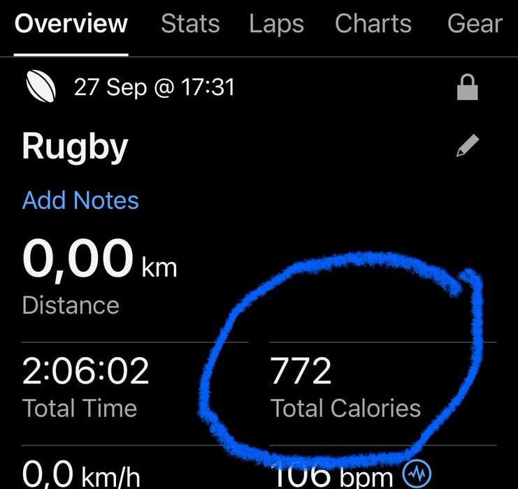 It’s not easy: Springboks coach Rassie Erasmus’ lost calories against Argentina
