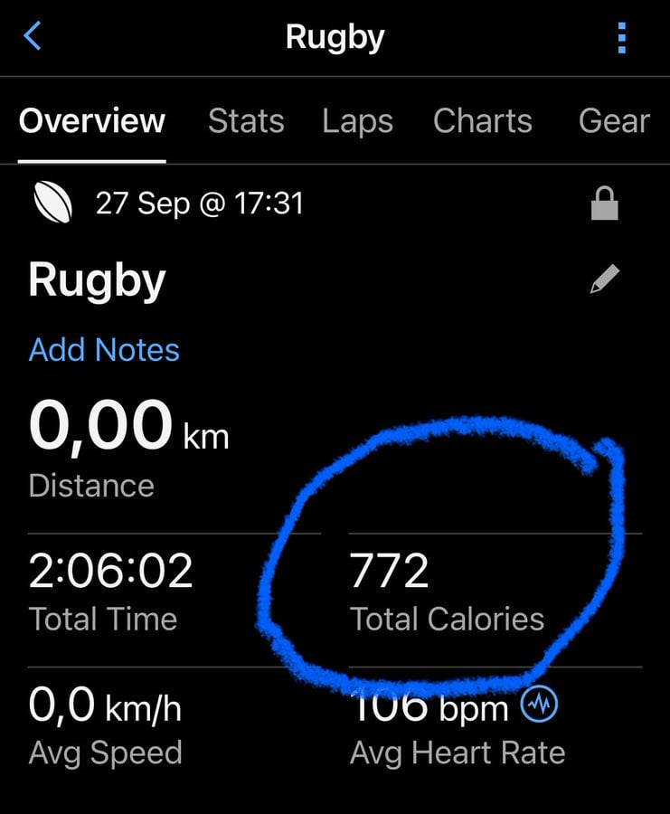 Springboks Rassie Erasmus calories Argentina
